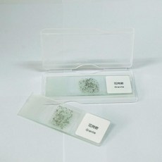 현미경 관찰 화강암 프레파라트 슬라이드 실험 학습 돌봄 수업 교육 실습 도구, 1개