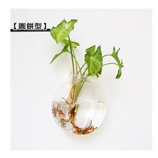 壁掛玻璃花瓶 水培綠化牆壁裝飾花器 (菱形), 圓餅型