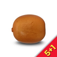 [5+1구성] BUZZ 리얼사이즈 키위 과일쉐이커 BU-KW