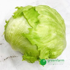 양상추 1통(약400g) -국산, 450g, 1개