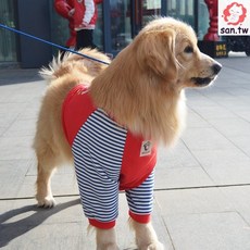 快樂萌寵 狗狗護肘衣 中大型犬關節保護 春夏季休閒兩腳衣, 護肘衣-紅色,3XL 胸圍72, 1個