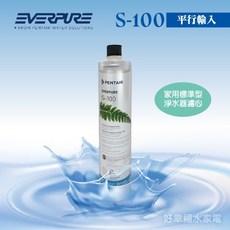 EVERPURE S100濾心 原裝進口 黑水保固, 單入裝(售出無保固, 1個