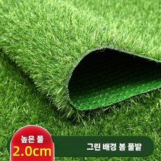 야외 인조잔디 길이 롤 발코니 카페 실내 축구장 실외, Y. 2cm 이중 봄 (2mx25m), 1개