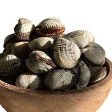 벌교 꼬막 제철 새꼬막 국내산 당일조업 산지직송, 1kg / 혼합 / 20미 내외, 1세트