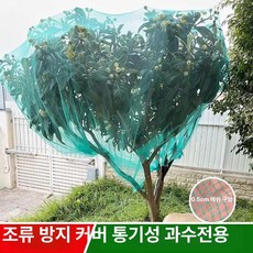 dandel 블루베리망 방조망 조류 새그물 과일 망, 1개, 기본 색상