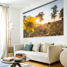 아라크네 빔스크린 롤스크린 가로200cm x 세로160cm