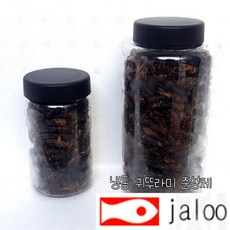 냉동귀뚜라미 대형어 거북이 고단백 특별식 냉동먹이 생먹이 날개없는 준성체사이즈, 1개, 300ml