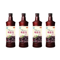 광야 늘감사 복분자 베이스, 4개, 970ml
