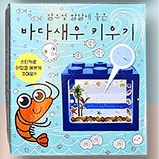 새우 키우기 세트 관상용 바다새우 키우기 블루색상 어항, 2개