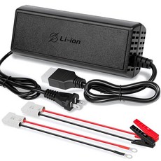 12V 30A LiFePO4 Battery Charger 14.6V Lithium Fast Charging Over-Current and Over-Voltage Protec, 14.6V 20A