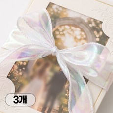 영롱한 펄 홀로그램 오간자 쉬폰 선물 꽃 포장 리본 끈, 3개, 9m, 화이트 오로라