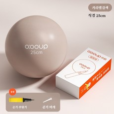 미니 요가볼 25cm 임산부 골반저근 운동 필라테스 홈트 공, 박스 포장 + 펌프 증정 힙업볼 25cm-브라운