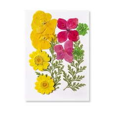 말린 자연 식물 장식 액세서리 만들기 DIY 트레이 꽃을 수지 금형에 대한 누르면 에폭시 공예, Style 22