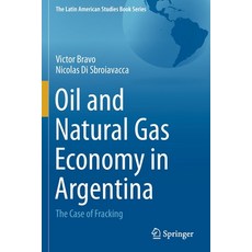 (영문도서) Oil and Natural Gas Economy in Argentina: The case of Fracking Paperback, Springer, English, 9783030655228