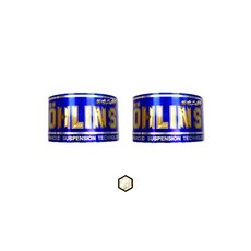 OHLINS 歐老師 機車避震 氣瓶 鈦片 鈦牌 正鈦合金 反光片, 1個, 金色（燒金色）