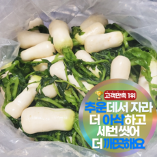 삼시세끼연구소 3중 세척 더 아삭하고 깨끗한 절임 알타리무 총각무 최상품, 1박스, 11kg