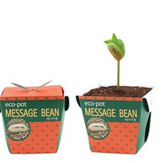 친환경 종이화분 에코팟-메세지콩/식물키트 화분 캐릭터패키지, 메세지콩, 1개