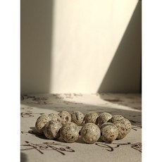 龍燄藏石堂 稀缺老礦白靈骨帶舍利, 1個