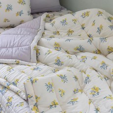 데일리라이크 소프트 모달 차렵이불 - 21 Euphorbia (SS Q)