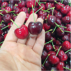 항공직송 고당도 캘리포니아 생 체리, 1개, 10R(대) 1kg