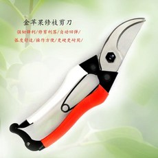 오카츠네 원예 DIY 정원 전지 NO.103 손질 200mm 가위 나무, A. 황금 사과 가지치기 가위 과일 따기 가위 포도 가, 1개