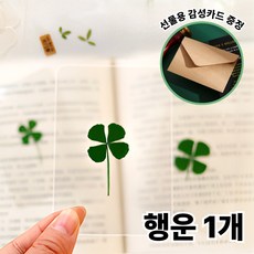 [노마진]클릭마켓 행운의 네잎클로버 생화 코팅 카드, 행운1개