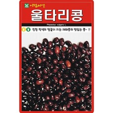 아람종묘 울타리콩 씨앗 30g 넝쿨성 재래종 울타리콩씨 종자, 1개
