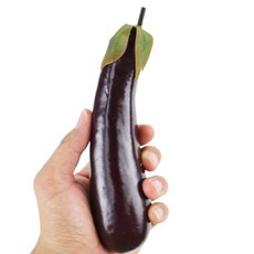 완구 차량 교육용 조립 선물 어린이 장난감 키트 모형, 1개