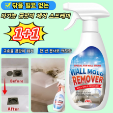 [닦을 필요 없는] 다기능 곰팡이 제거 스프레이 초강력 곰팡이제거제 곰팡이제거/항균/친환경, 3개, 240ml