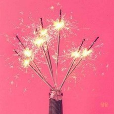 스파클라 25cm 10P 세트