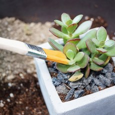 이끼 다육 테라리움 만들기 DIY 재료 브러쉬 붓, 1개