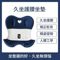 思菲其 久坐護腰記憶棉坐墊, 韓版運動藍