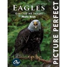 (영문도서) Eagles: Picture Perfect: Photo Book Paperback, Independently Published, English, 9798884102583