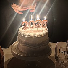 파티몬 신년 파티 메탈 숫자 초 케이크 데코픽 연말 홈 장식 소품 용품, 1개, 로즈