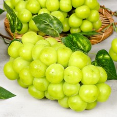 스윗쿡 과일앤 프리미엄 샤인머스켓, 1개, 4kg 특대(3~5수)