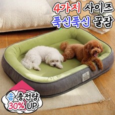 펫루미 푹신푹신 반려동물 꿀잠 방석, 1개, 루미그린