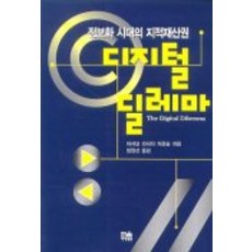 韓國 Hanul 數位困境：資訊時代的智慧財產權, 國家研究委員會