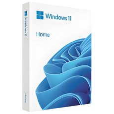 마이크로소프트 Windows 11 Home FPP USB 처음사용자용 한글