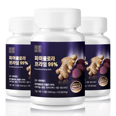 대용량 파미플로라 프라임 99% haccp인증, 3개, 120정