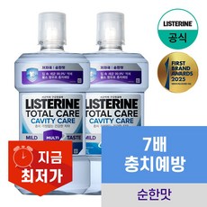 리스테린 토탈케어 캐비티케어, 1L, 2개
