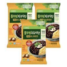 풀무원지구식단 유니짜장면 2인분 620g, 식물성 유니짜장면 620g(2인분) x 3봉, 3개