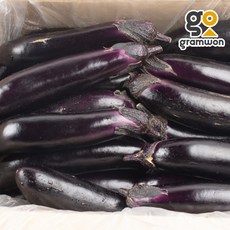 햇가지 국내산 10KG 특품 최상품, 가지 10kg, 1개