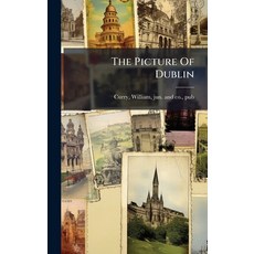 (英文圖書)The Picture Of Dublin 精裝版, Hutson Street Press, 英文