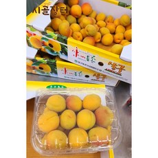 시골장터 노지 살구 - 에어셀포장/벌크포장, 1개, 대과 3kg(39-74과)