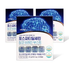 180캡슐 비웰 포스파티딜세린 징코 브레인 부스트 혈행 은행잎 멀티비타 아연 영양제, 1개