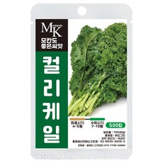 모칸도 좋은씨앗 컬리케일 씨앗 500립 크라우저 케일 잎채소 야채 씨앗, 1개