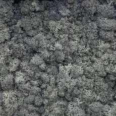 現貨 20克 乾燥苔蘚 永生苔蘚 DIY微景觀材料包 造景裝飾, 煙灰