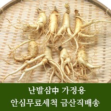 금산 수삼 인삼 난발삼중 잔뿌리 무료 세척 4년근 5년근 6년근 파삼 홍삼용 쥬스용 씻은 인삼 행복한삼, 350g, 1개, 09. (세척O)미삼잔뿌리350g