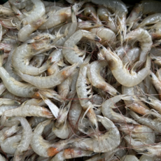 당일조업 여수 중하새우, 1박스, 급냉 1kg (60-80미)