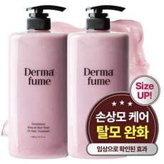 더마퓸 와인&맥주효모 2X 탈모 트리트먼트, 2개, 1L